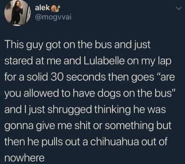 is+this+a+meet+cute%3F