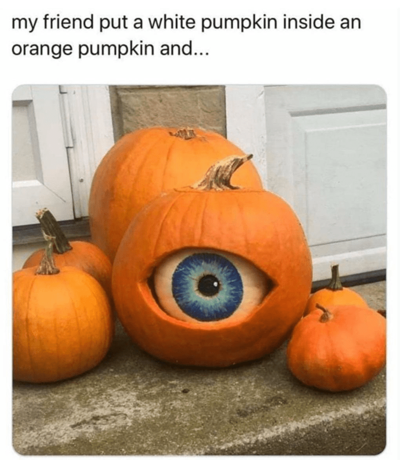 your+new+pumpkin+overlord+sees+everything