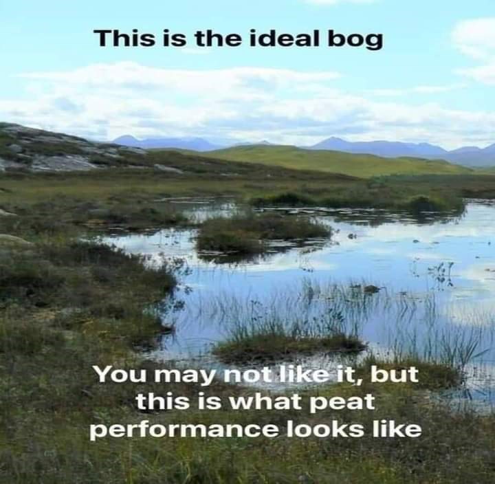 a+beautiful+bog