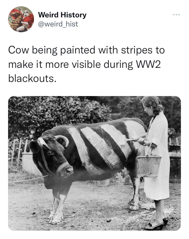 sometimes+you+just+have+to+paint+your+cows