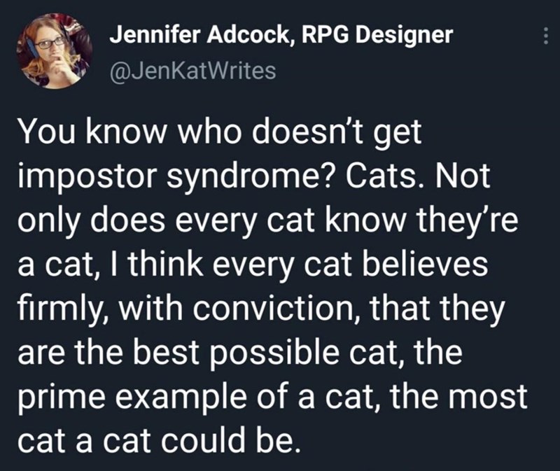 the+most+cat+a+cat+could+be