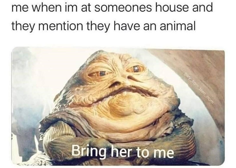 i+would+like+to+pet+them