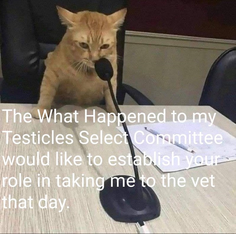 please+explain+why+you+did+what+you+did