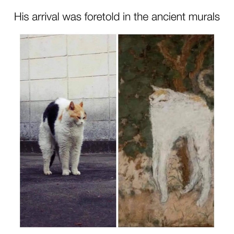 he+has+finally+graced+us+with+his+presence