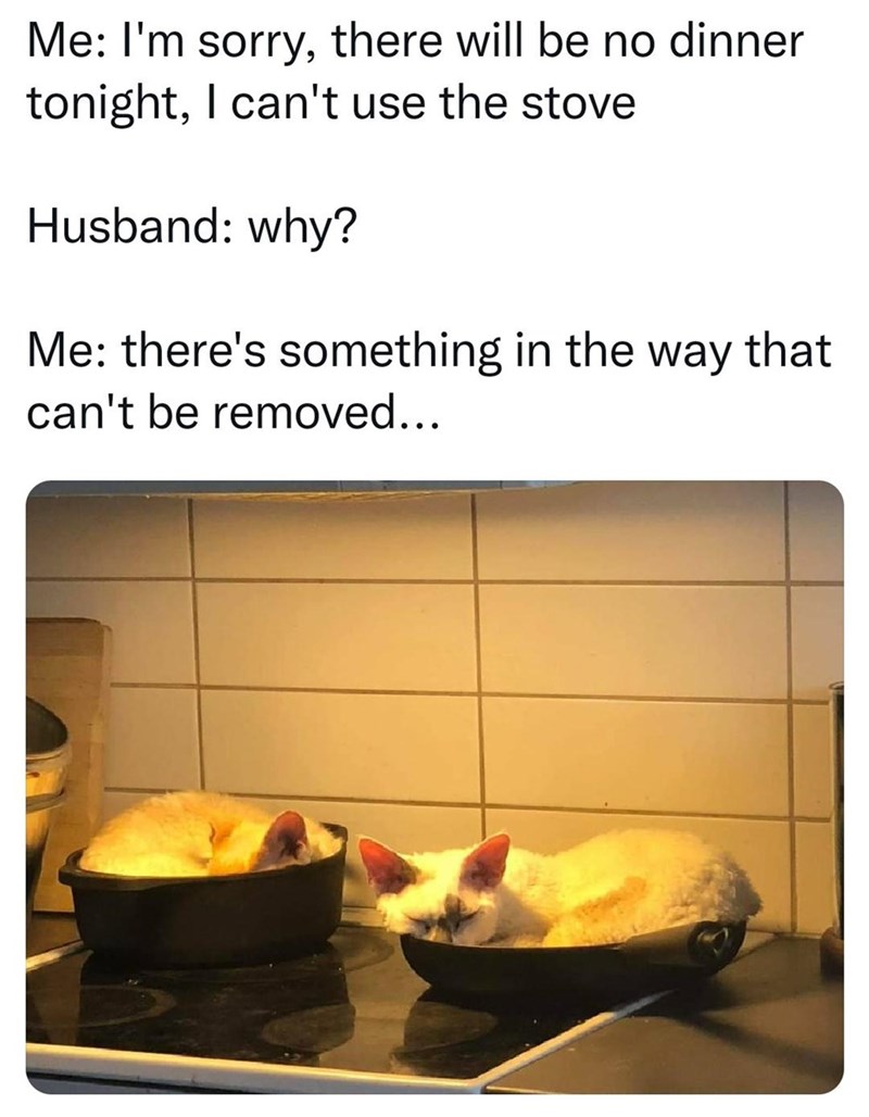 there+will+be+no+dinner+tonight