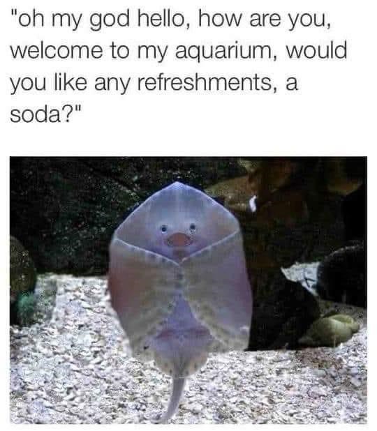 i%26%238217%3Bll+take+a+water%2C+thanks%21