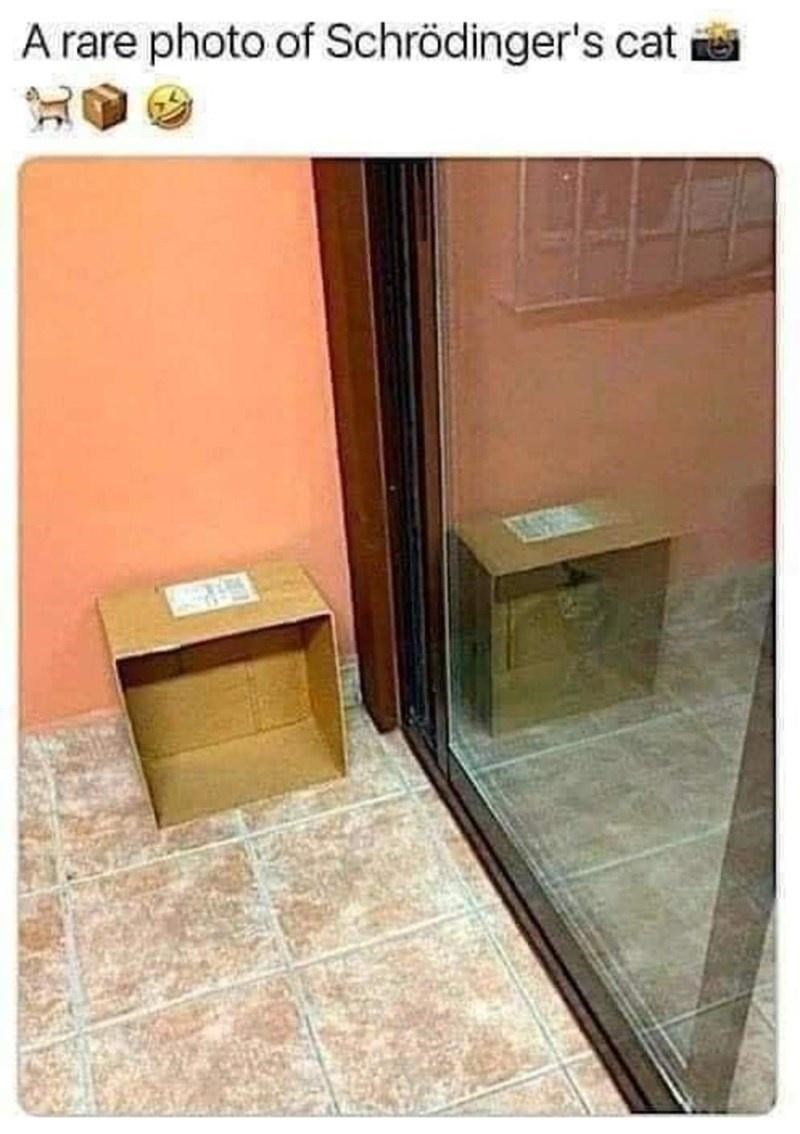 it%26%238217%3Bs+in+the+box.+it%26%238217%3Bs+not+in+the+box