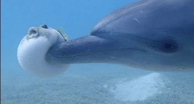 Personal+space+doesn%26%238217%3Bt+exist+in+the+ocean