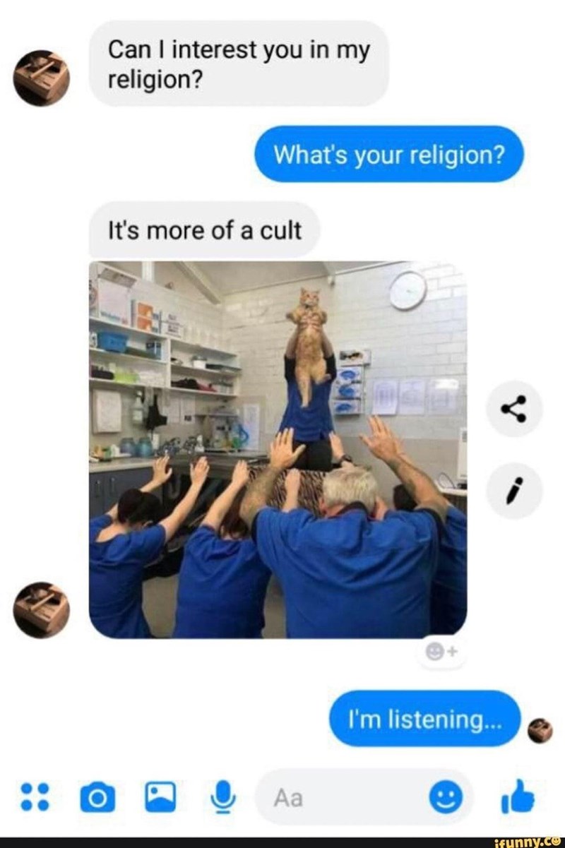 All+hail+King+Kitten