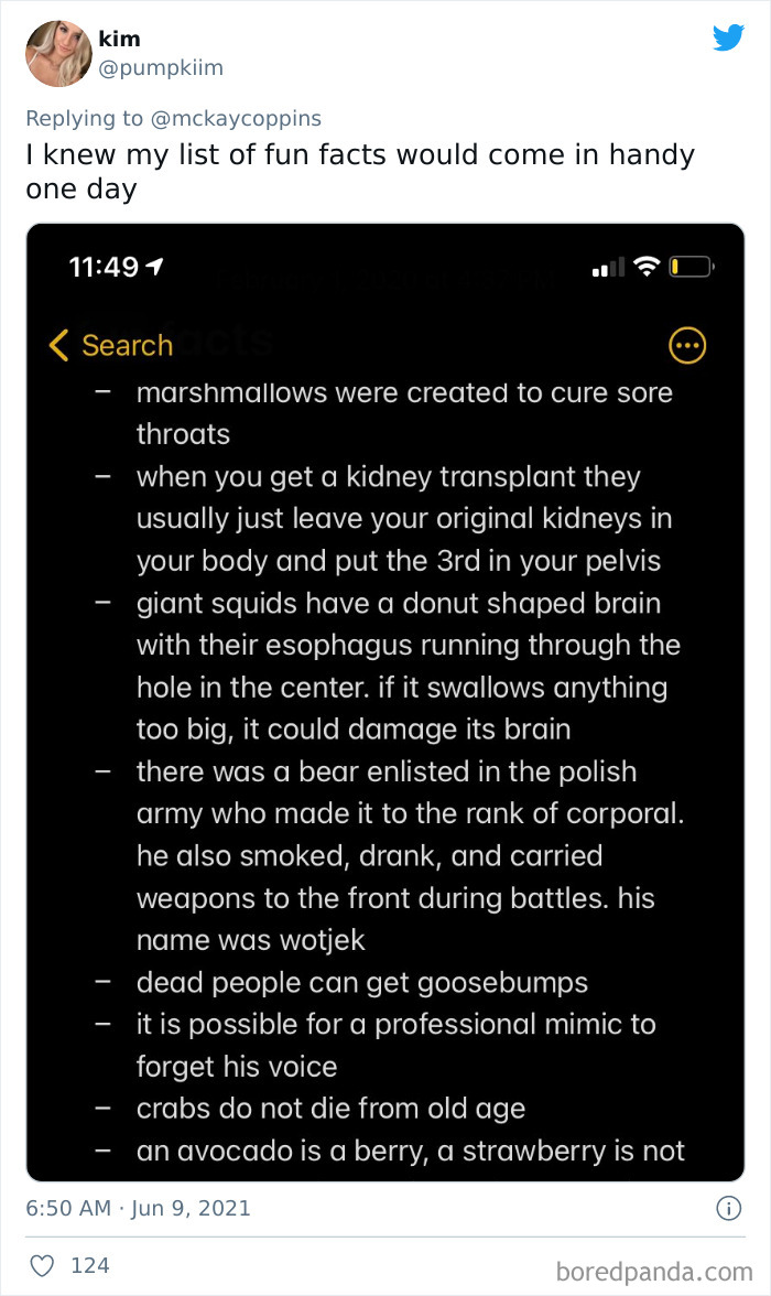 I+knew+the+avocado+fact%21