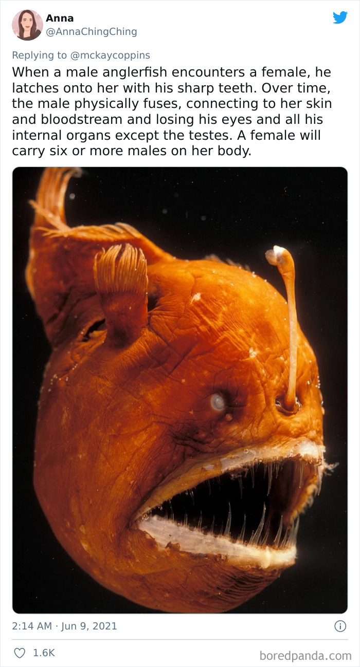 The+things+men+do+to+get+laid%26%238230%3B