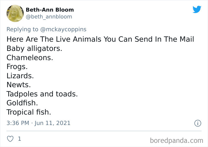 %2Aputs+postage+stamp+on+baby+alligator.+Gets+bit%2A