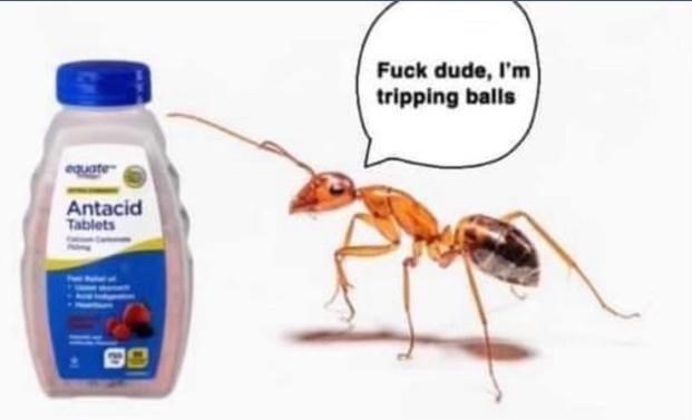 Ant+acid