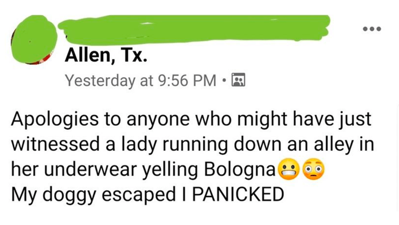 Bologna+is+a+good+dog+name