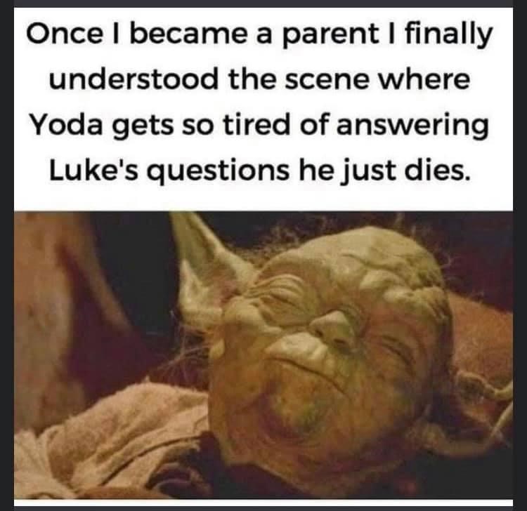 the+questions+never+end