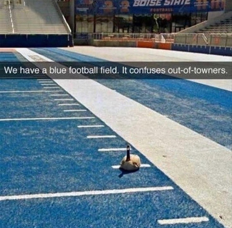 Where+are+all+the+fish%3F