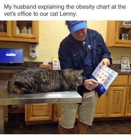 He%26%238217%3Bs+just+fluffy%21