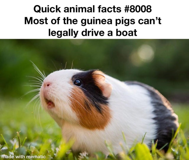 Doesn%26%238217%3Bt+stop+them+from+trying