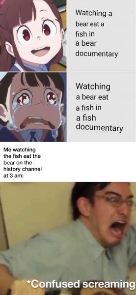 The+bear+had+it+coming