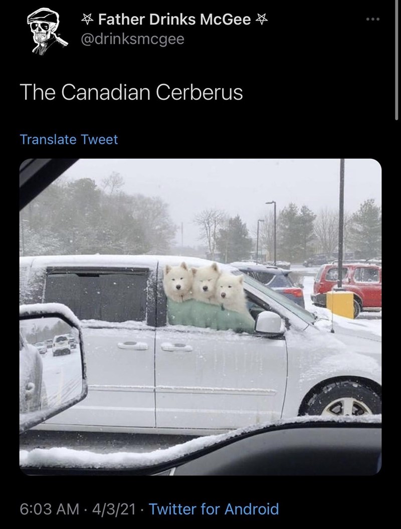 three+fluffy+heads+of+adorableness