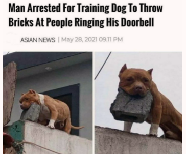 when+you+really+don%26%238217%3Bt+like+other+people%2C+this+is+what+you+do