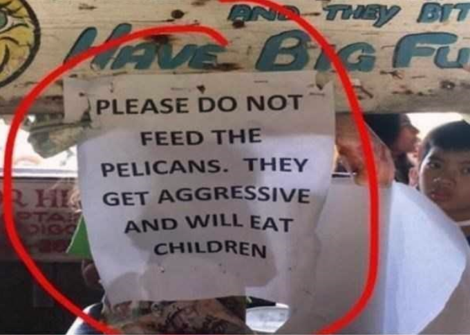 i+have+so+many+questions