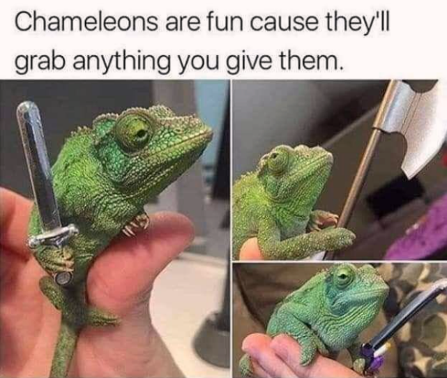 %2Ahands+chameleon+one+ring+to+rule+them+all%2A