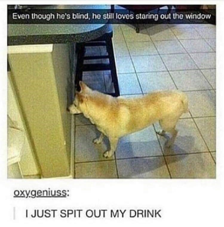 it%26%238217%3Bs+a+window+if+he+wants+to+be++a+window