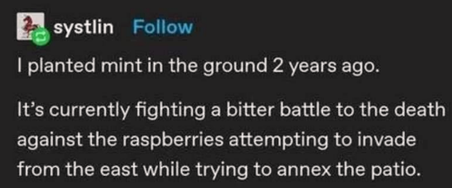 this+war+movie+sounds+epic