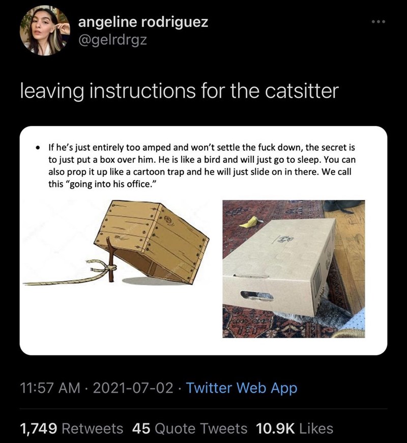 i+would+catsit+this+demon