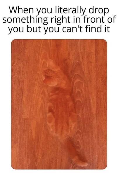 where+the+hell+did+it+go%3F