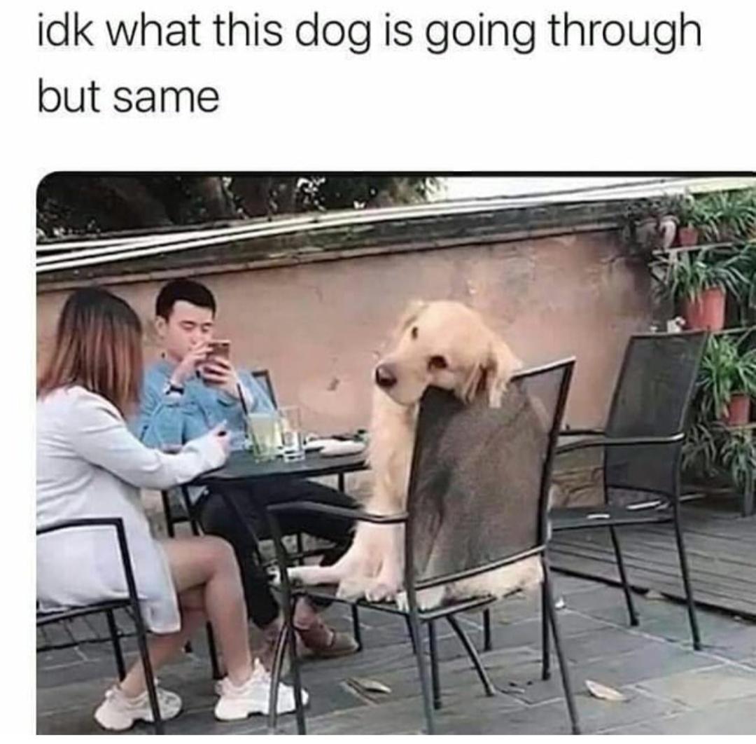 he%26%238217%3Bs+thinking+about+the+squirrel+that+got+away