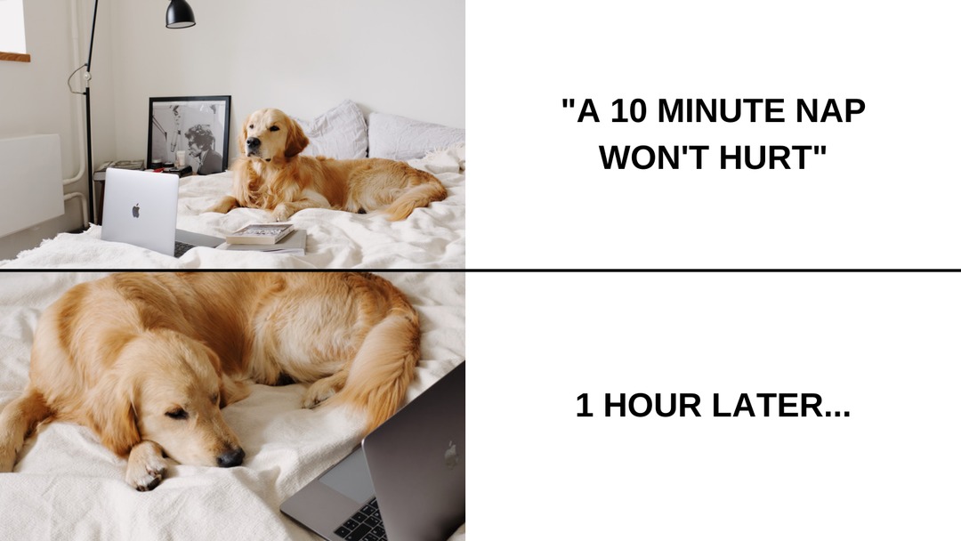 i+missed+the+meeting