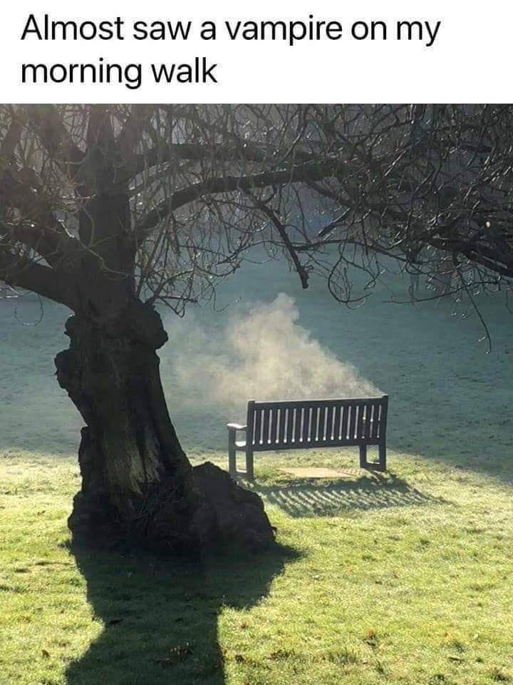 vampire+didn%26%238217%3Bt+want+to+be+undead+anymore