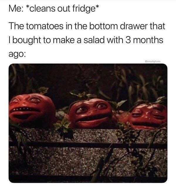 i%26%238217%3Bve+named+them.+they+are+my+friends