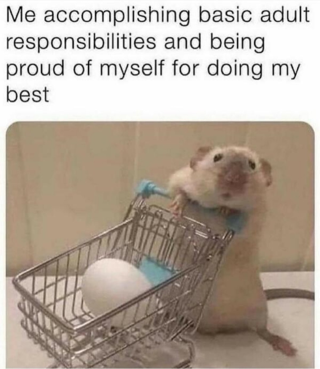 today+was+a+good+day