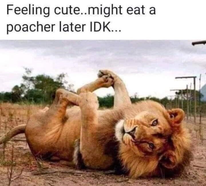 when+the+hunger+hits