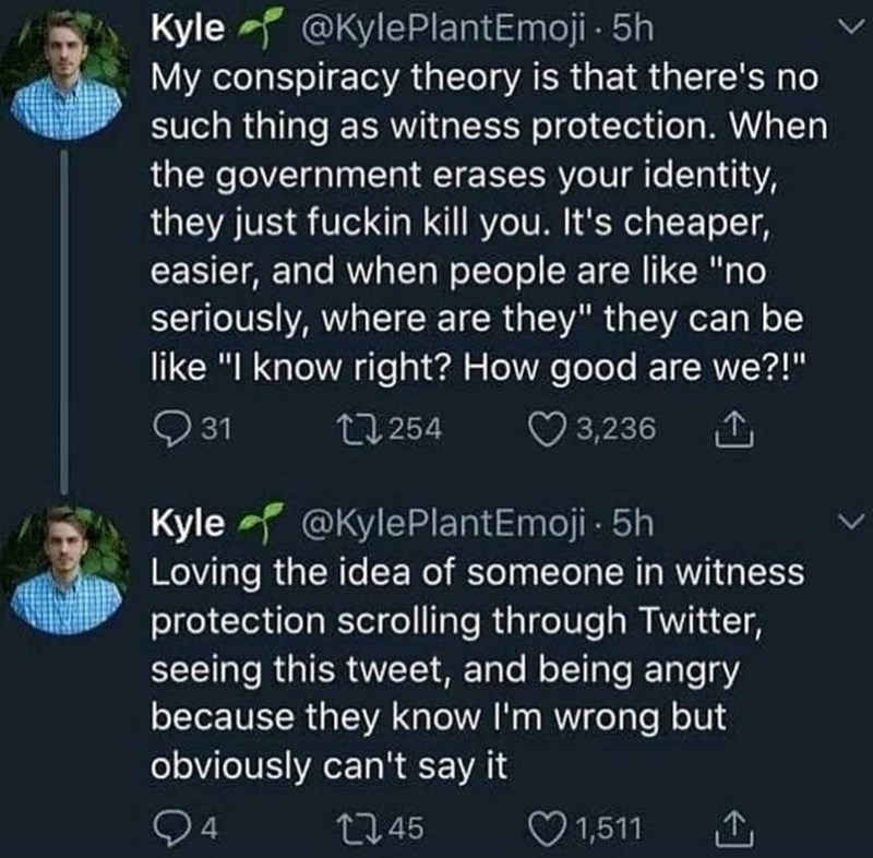 only+people+in+witness+protection+know+the+truth