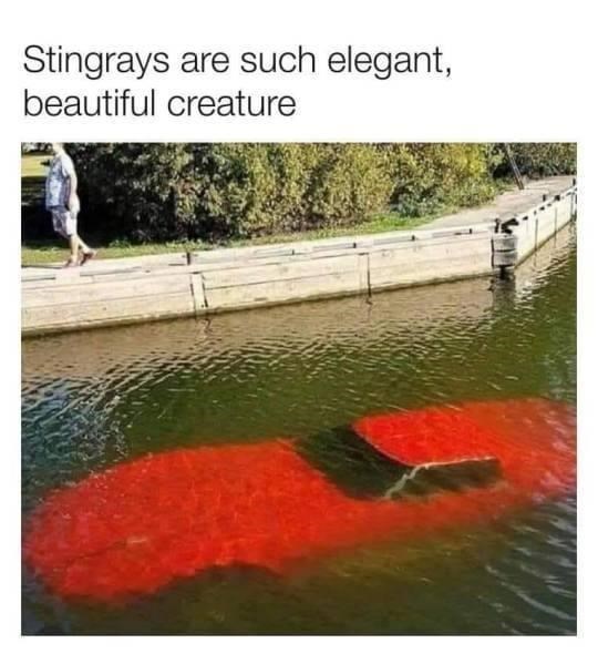 just+don%26%238217%3Bt+step+on+the+tail+pipes