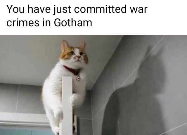 i+am+vengeance.+i+am+the+knight