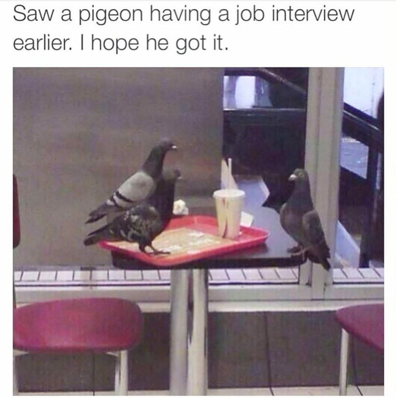 dress+for+the+job+you+want