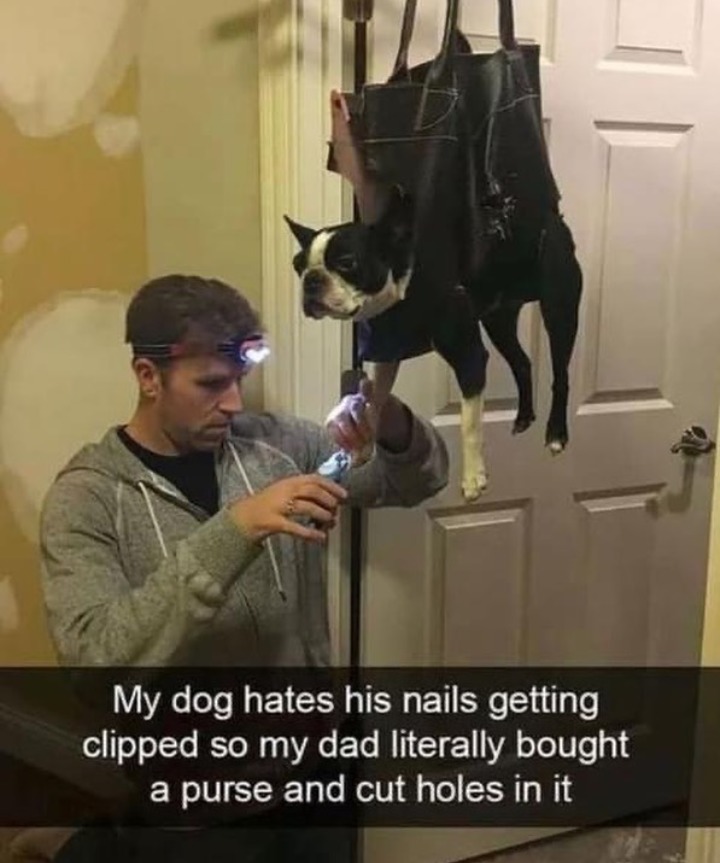 he+looks+so+defeated