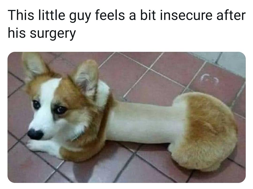 they+told+him+he+could+become+anything%2C+so+he+became+a+bone