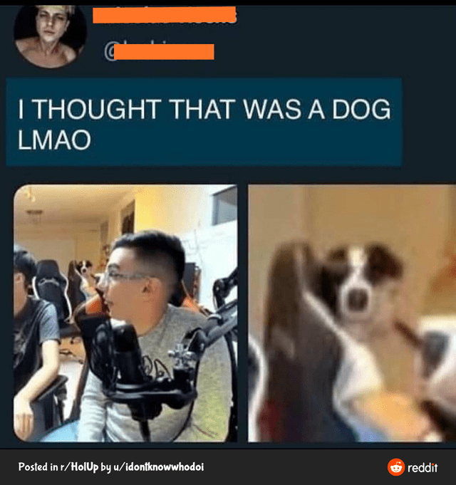 that%26%238217%3Bs+not+a+dog%3F