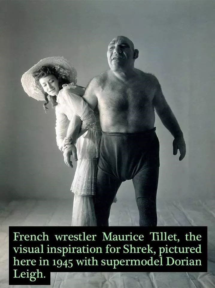 ya+know%2C+he+does+kinda+look+like+shrek