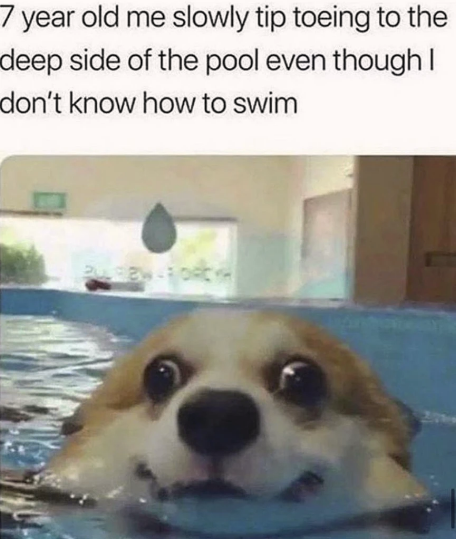 calculated+risk+taker