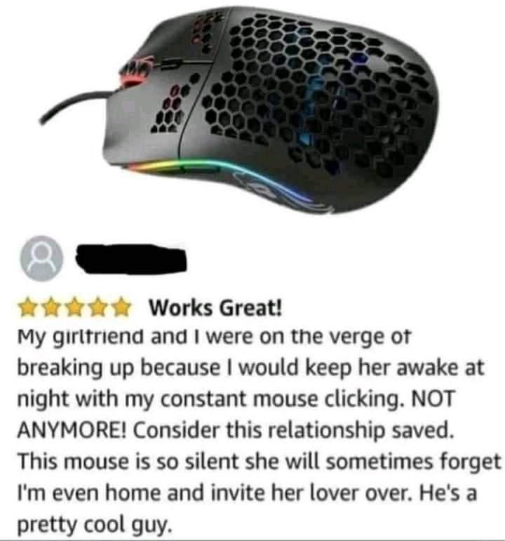 %2Aadds+mouse+to+amazon+cart%2A