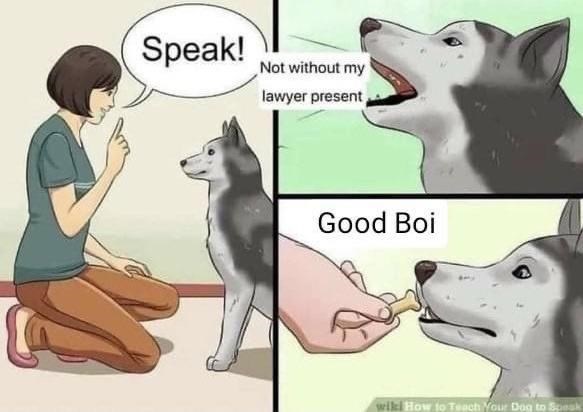 what+crime+did+the+dog+commit%2C+though%3F