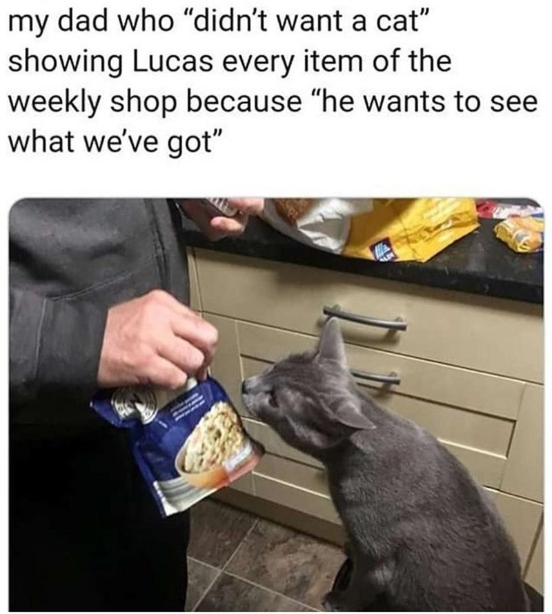 he%26%238217%3Bs+a+good+cat+daddy