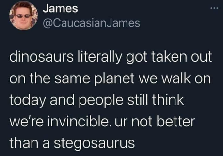 you%26%238217%3Bre+not+better+than+a+stegosaurus